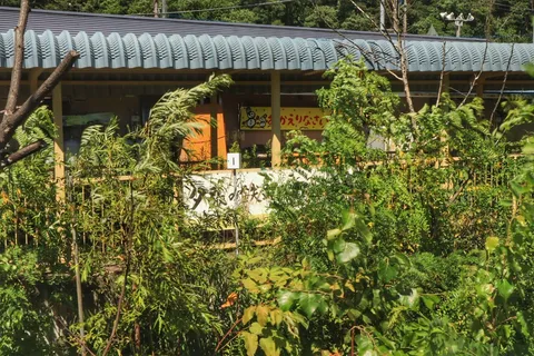 草木に隠れた懐かしの駅