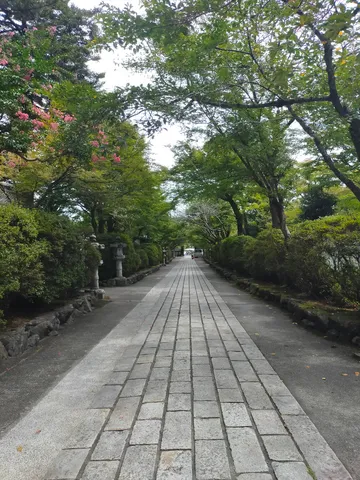 緑に包まれる石畳の参道
