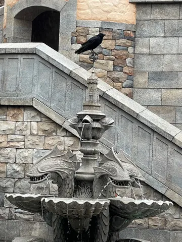 異国の噴水に佇むカラス