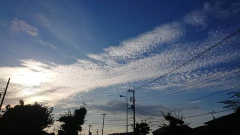 夕暮れの空と電線