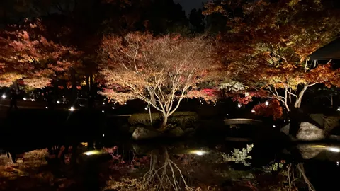 秋夜の水鏡に映る灯り