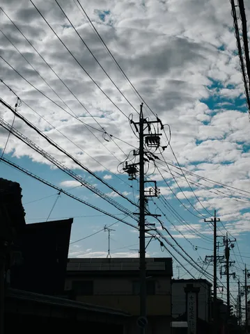 電線の迷宮と空のコントラスト