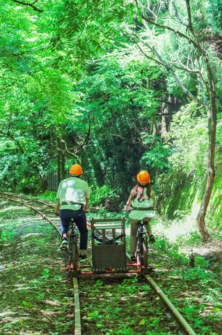 緑のトンネルを駆け抜ける旅