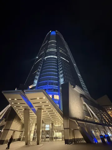 夜を纏う青い高塔