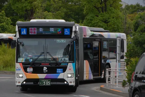 カラフルなバスと緑のコントラスト