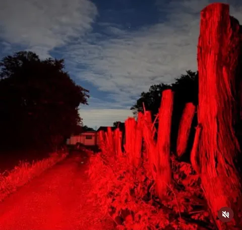 赤く染まる夜の柵道