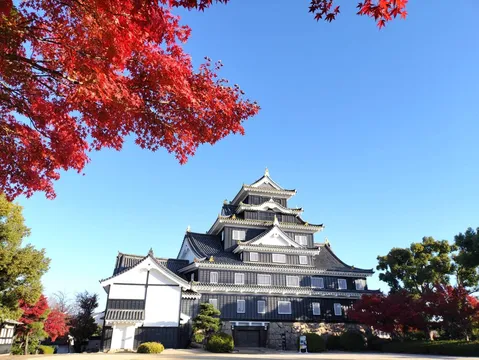 鮮やかな紅葉と荘厳な城
