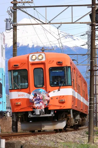 日常に現れた、ちょっとした珍事