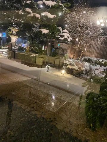 雪化粧の静寂、窓越しの情景