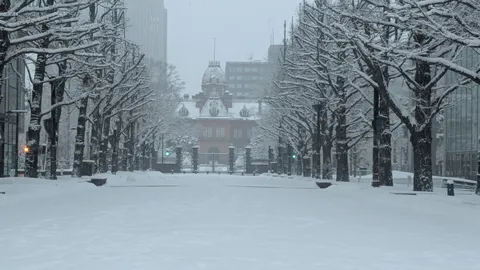 雪化粧の街並み、冬の静寂