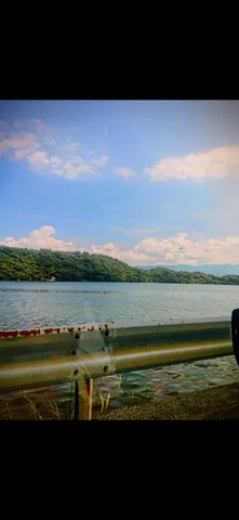 ガードレール越しの夏、水面キラキラ