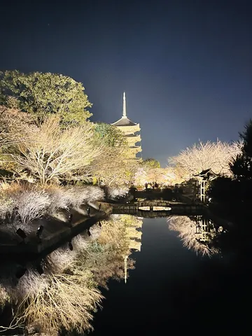 水面に映る夜の五重塔と煌めく木々