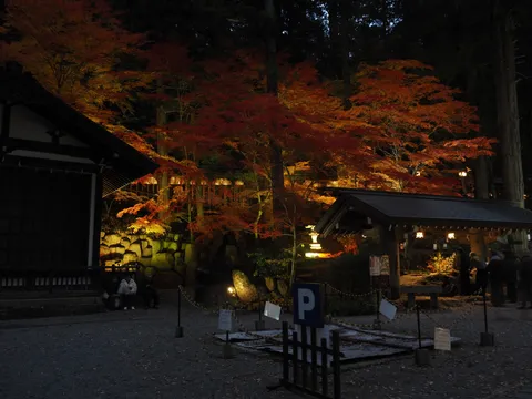 秋夜の神社と紅葉の灯り