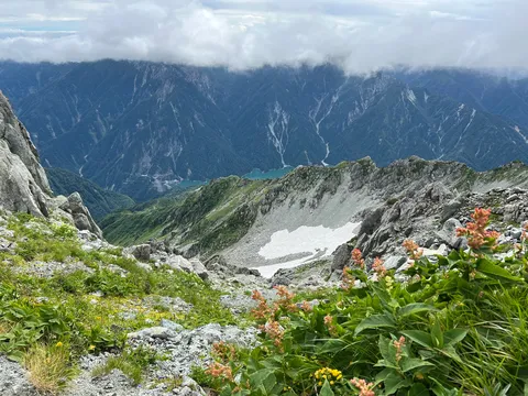 雲海と高山のコントラスト