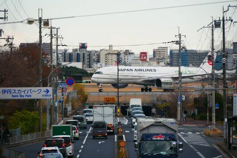 日常に降り立つ、翼
