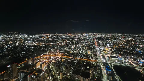 地上300mが織り成す生命の煌めき