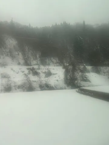 白銀に霞む冬の森