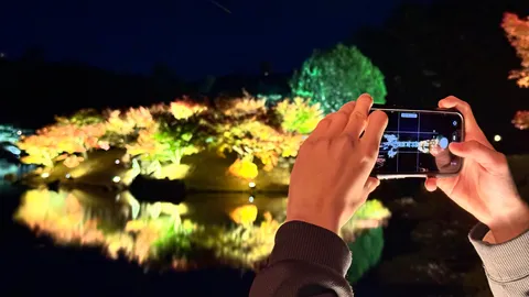 光が彩る水辺のナイトショット