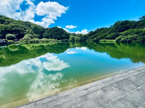 緑滴る静寂の湖畔