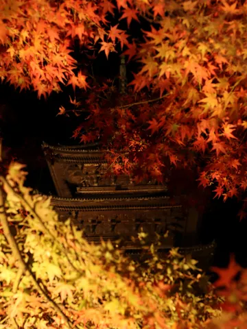 秋の夜、紅葉が語る寺の影
