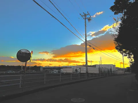 夕暮れの貨物と電線