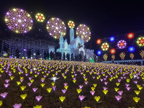 光の花咲くメルヘンの夜