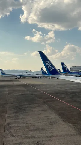 ANAの翼、旅立ちの予感