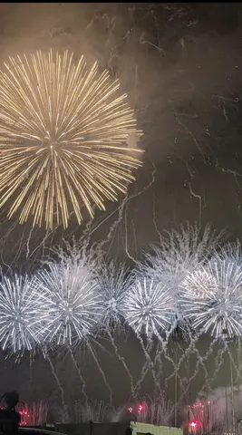 夜空に咲く光の花