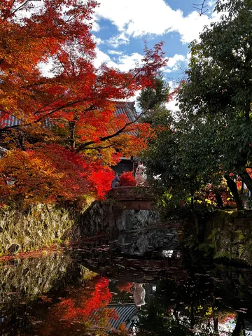鮮やかすぎる秋、水面まで本気出しちゃった？