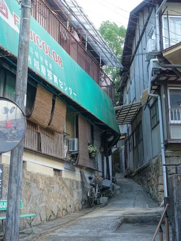 路地の奥へ誘う緑の幕