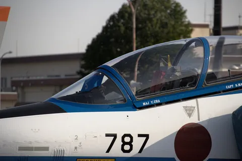 ジェット機の横顔、787