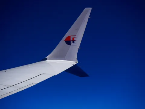 青空を滑る翼の影