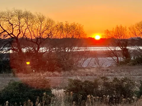 夕焼けに染まる木々と水辺