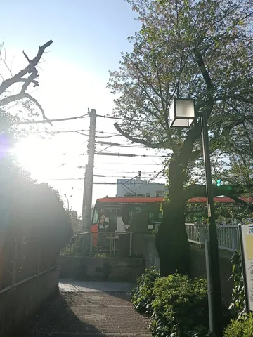 光あふれる道を行く赤い電車