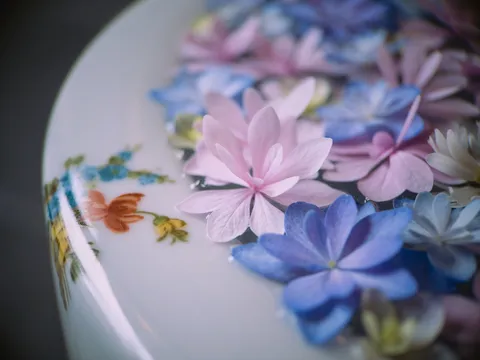 儚くも美しい、水面に浮かぶ花々の静けさ