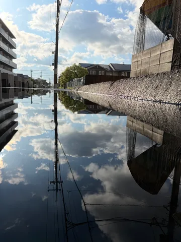 水面が映すもう一つの世界
