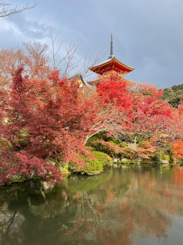 紅葉に染まる古刹の秋