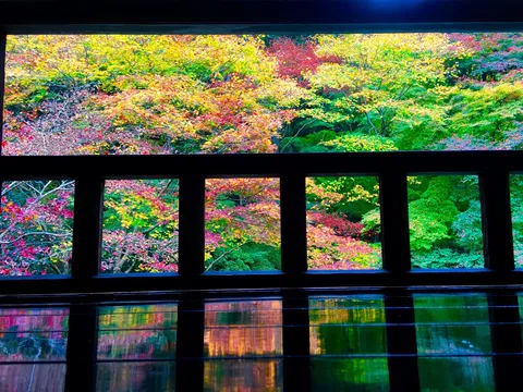 窓辺に映る秋色の劇場