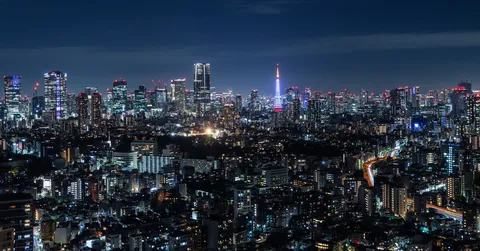 煌めく大都会の夜景