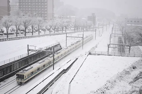 雪原を駆ける白い閃光