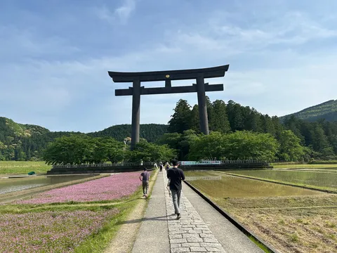 悠久を映す鳥居路