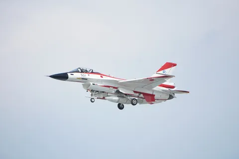 青空を駆ける空の王者