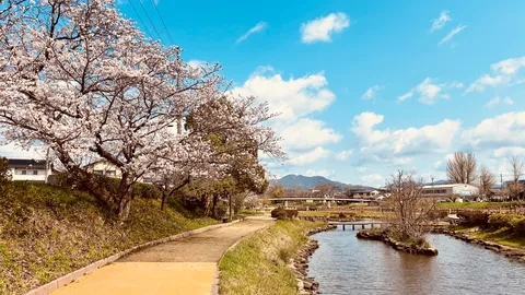 桜と水辺が織りなす春の散歩道