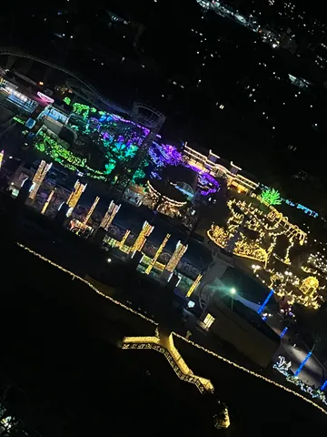 光と闇が織りなす遊園地の夜景