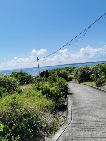 海へと続く青い道の先