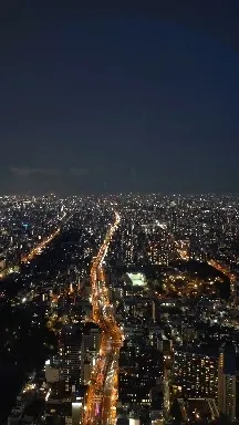 煌めく都市のパノラマ