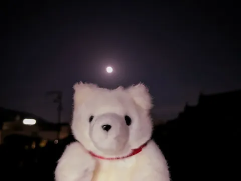 真夜中のテディベアと月