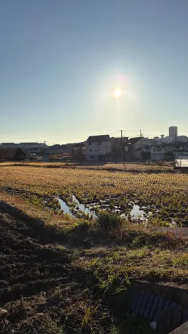 陽光注ぐ冬の田と街