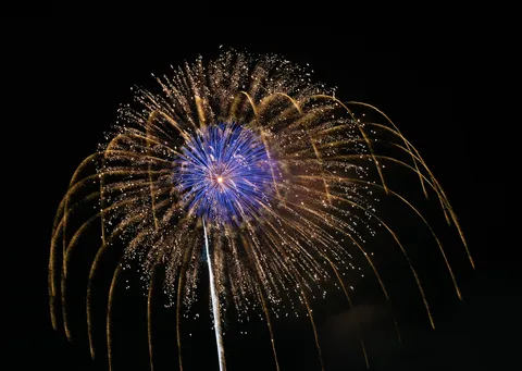 夜空に咲く、光の花火