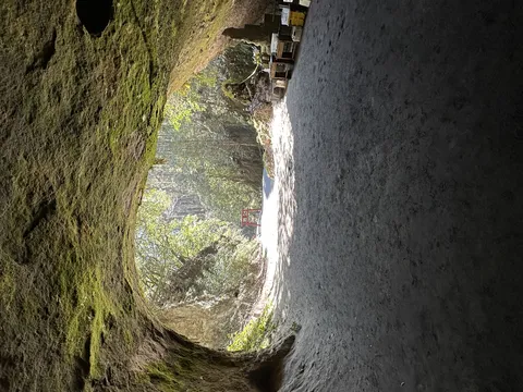 洞窟から望む鳥居と新緑